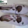 Lacoste 39-es női kényelmes bőr cipő fehér tornacipő