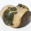 Két tengeri teknősök gyűjthető wounaan embera faragványok esőerdő panama