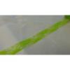 Csipke szalag zöld (2,5 cm x 10 m)