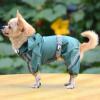Fényvisszaverő esőkabát kutyáknak - sötétzöld, XS